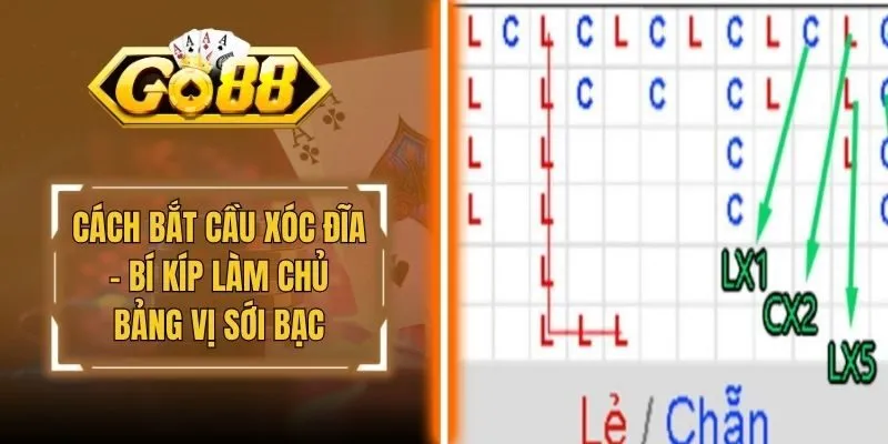 Cách Bắt Cầu Xóc Đĩa - Bí Kíp Làm Chủ Bảng Vị Sới Bạc