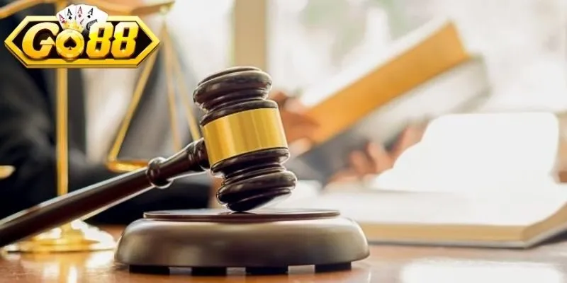 Miễn trừ trách nhiệm giúp xác định phạm vi nghĩa vụ rõ ràng 